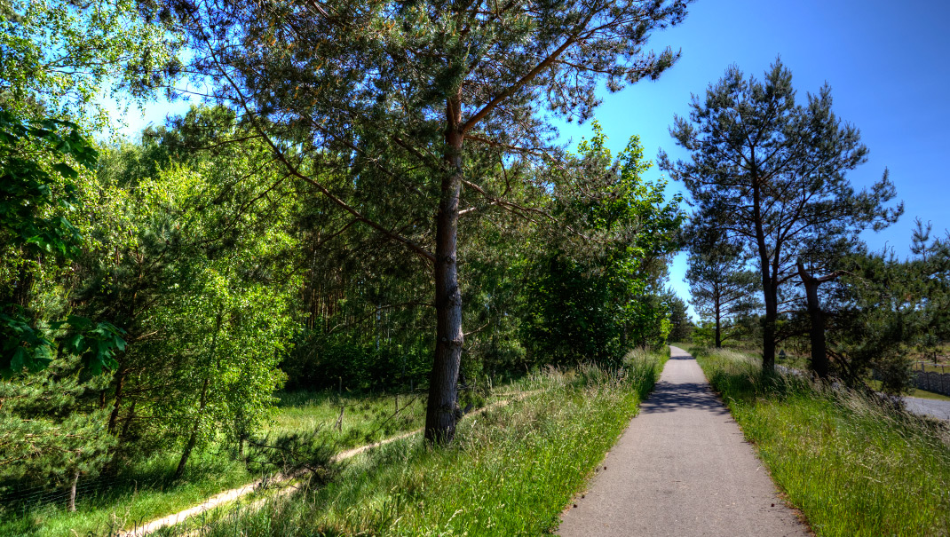 Ścieżka rowerowa po dawnym nasypie linii kolejowej.